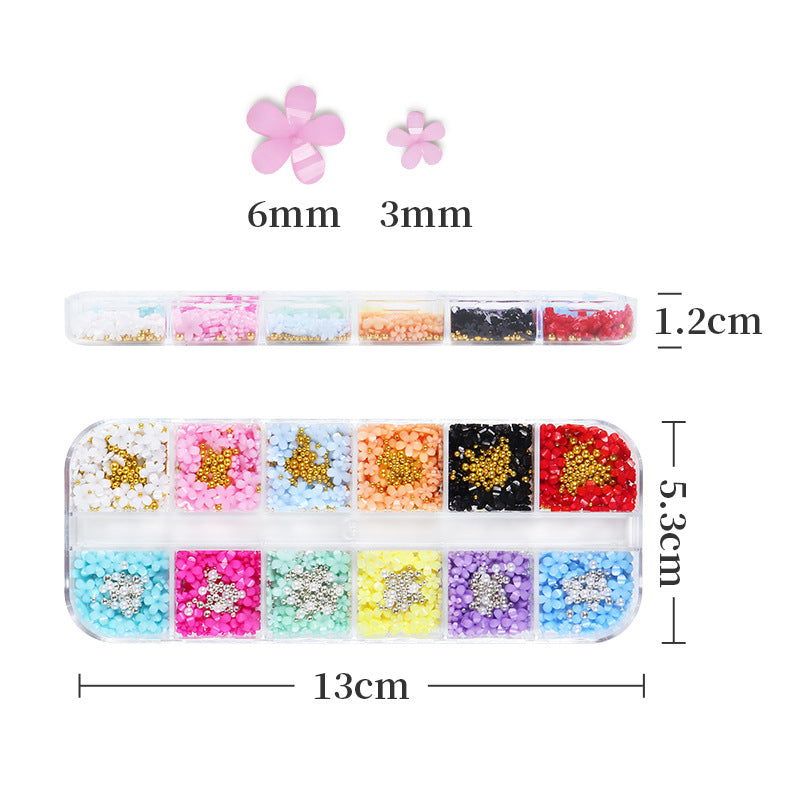 Wholesale Petal Nail Art Ornament 12 Box Resin Flower Ornament Set with Gold and Silver Beads