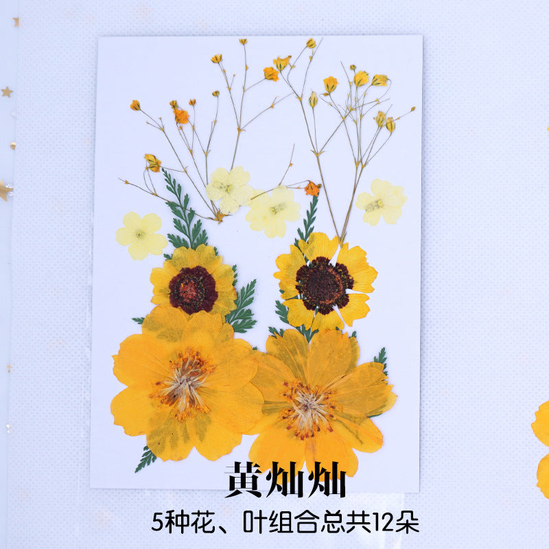 Dyed Dried Pressed Flowers for DIY Resin Jewelry Crafts Candle Making