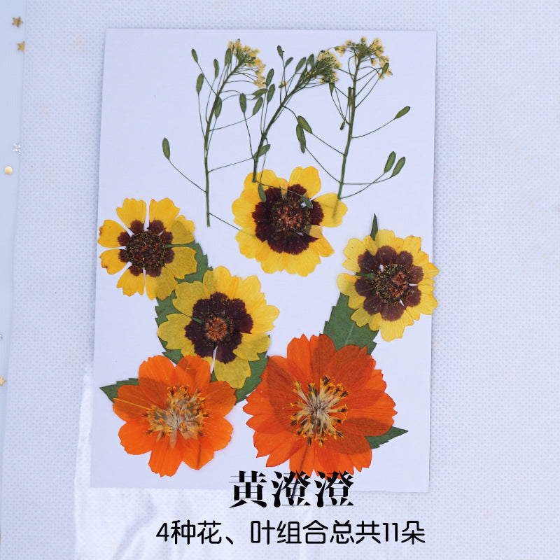 Dyed Dried Pressed Flowers for DIY Resin Jewelry Crafts Candle Making